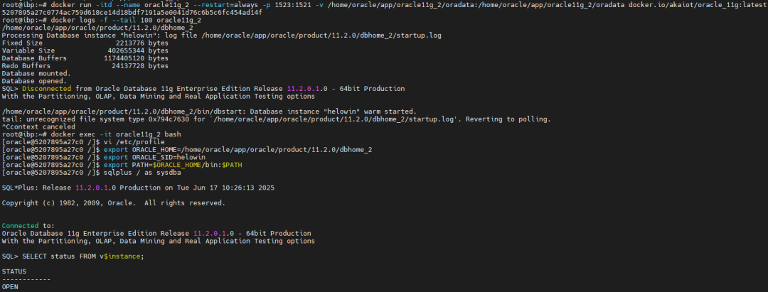 Docker 安装 Oracle 11G